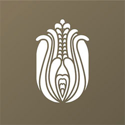 Taste of Transylvania