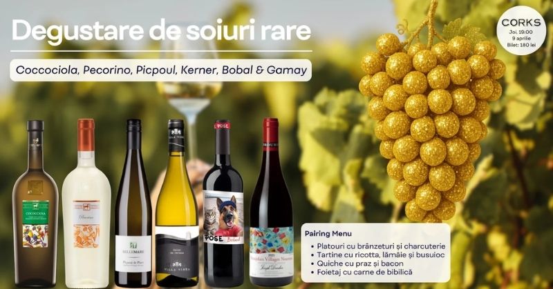 Degustare de vinuri rare