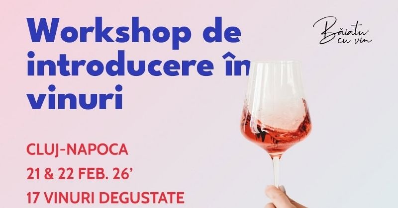 Workshop de introducere în vinuri