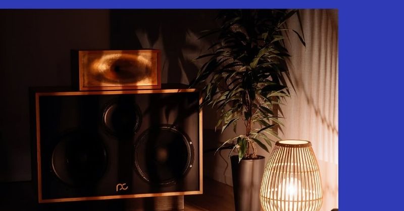 Degustare de vin si auditie muzicala