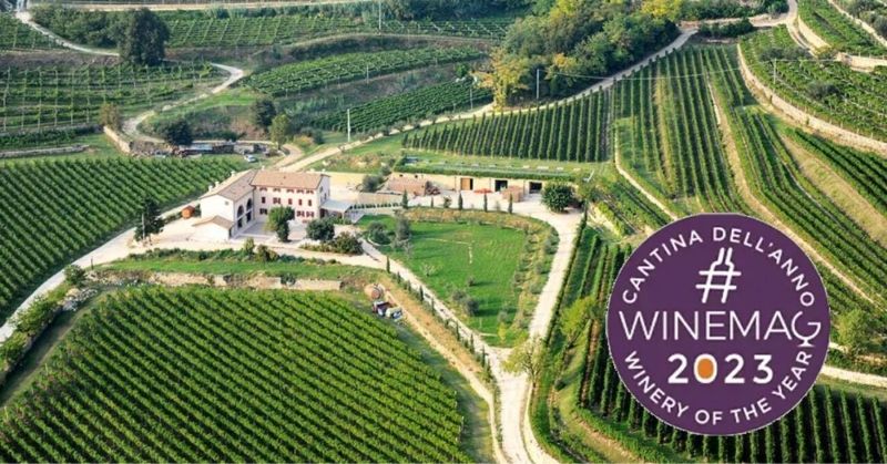 Degustare de vinuri din regiunea Valpolicella